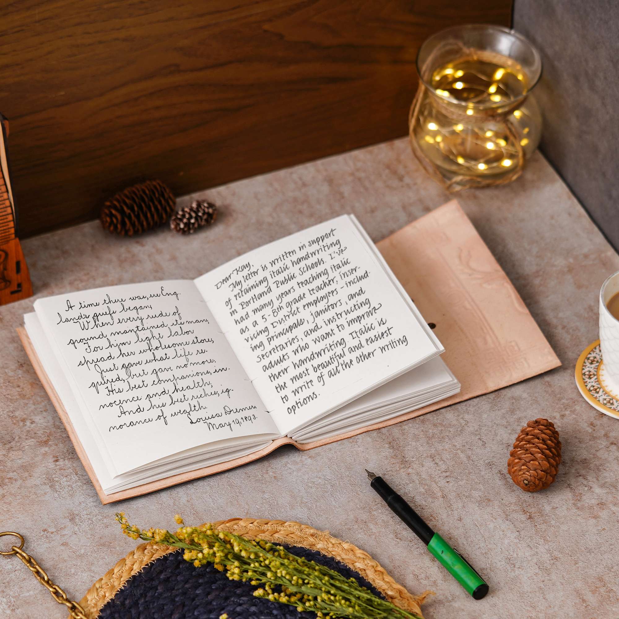 Diary - Image 4